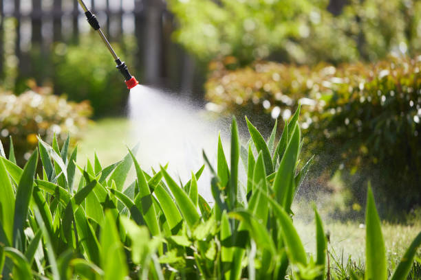 24/7 Emergency Termite Control experts in Palermo, NJ